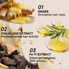 FLEXQW extrait de ginseng, ingrédients naturels visibles pour le cuir chevelu.