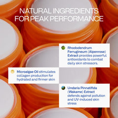 Stick Peak Performance avec résistance à l'eau jusqu'à 80 minutes en extérieur.
