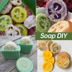 Loofah FRTIM avant usage, tranches plates prêtes à réhydrater.