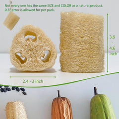 Texture naturelle FRTIM loofah qui stimule la circulation sanguine.