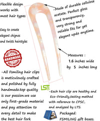 Pince-chignon Fsmiling tortue, design élégant pour coiffure rapide.