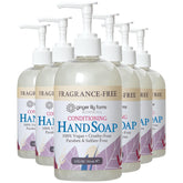 Ginger Lily Farms Botanicals lave-mains en bouteille sans parfum, idéal pour peaux sensibles.