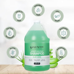 Ginger Lily Farms Club & Fitness – feuille d’aloe vera soulignant l’ingrédient clé apaisant