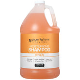 Ginger Lily Farms Club & Fitness Shampoing en bouteille, hydratation durable pour tous types de cheveux