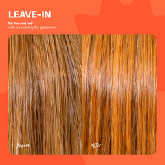 Ginger Milk Natural Care contrôle des frisottis pour cheveux lisses et nets