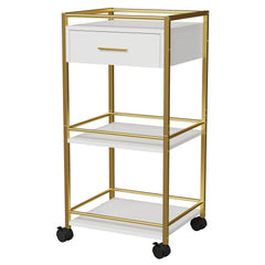 GOFEI Salon Trolley Cart: roues et tiroir pour outils à portée de main.