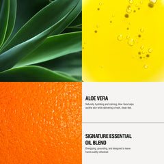Grown Alchemist senteurs orange douce sauge cèdre pour une expérience aromatique.