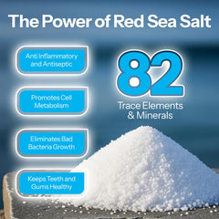 H2Ocean red sea salt minerals highlight minerals in formula