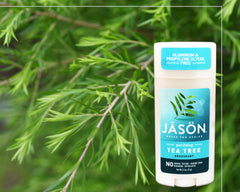 Jason bâton purifiant à l’arbre à thé, usage quotidien et pratique.