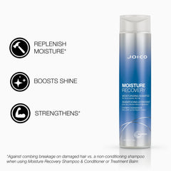 Cheveux secs avant traitement Joico Moisture Recovery, recherche hydratation en profondeur.