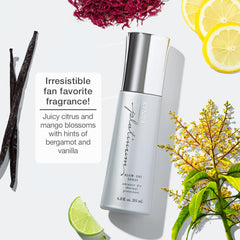 Kenra Platinum Blow-Dry Spray doseur, application précise et légère.