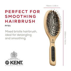 Kent PF01 brosse hêtre compacte voyage pour coiffage rapide