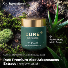 Kim Jeong Moon Aloe Cure Balm texture hydratante non grasse pour peau sèche.