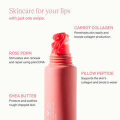 KNEMO LipLock application-glisse, soin quotidien sans effort