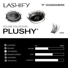 Application facile de Lashify Plushy avec les outils dédiés