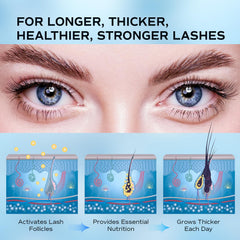 LashRay sérum avec camomille aloe et menthe sauvage, nourrissant et apaisant la peau.