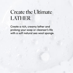 Éponge LATHER – hypoallergénique, sans parfum synthétique.