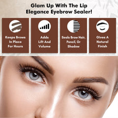 Lip Elegance – scellement des sourcils et poudre pour une définition durable.