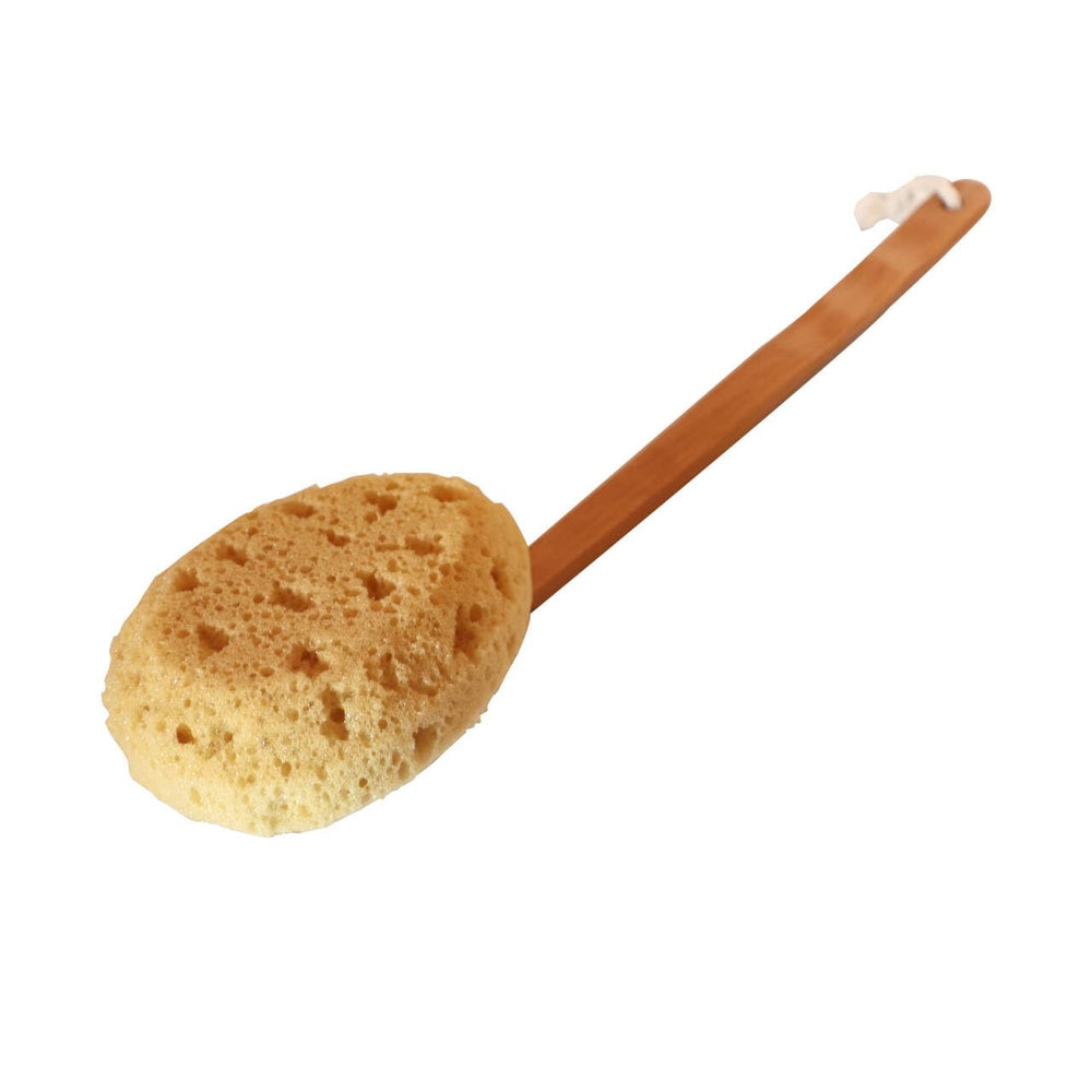 Brosse LIQIAONAN pour le corps avec poignée bois longue, facile à atteindre le dos.
