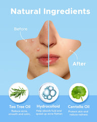 LitBear patch hydrocolloide absorption: capte les fluides pour apaiser visuellement.