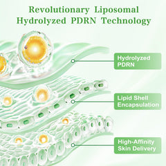 Lolx complexe multi-actif ADN sur flacon — teint plus lumineux et équilibré.