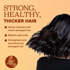 Shampooing Luseta volumisant pour cheveux fins apportant du corps