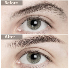 Maitys adhesion sourcils 4D ferme pour une application fiable