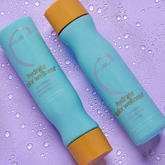 Conditionnement sur cheveux humides, flacon Malibu C Hydrate Color Wellness prêt à démêler