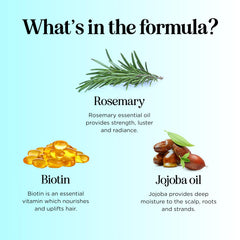 Maple Holistics Application Romarin Biotine – main dans la main, parfum frais et hydratation