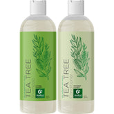 Maple Holistics shampooing arbre à thé - bouteille prête pour cuir chevelu gras.