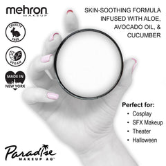 Mehron Paradise Makeup AQ Pro – échantillons de couleurs mates pour nuanciers précis