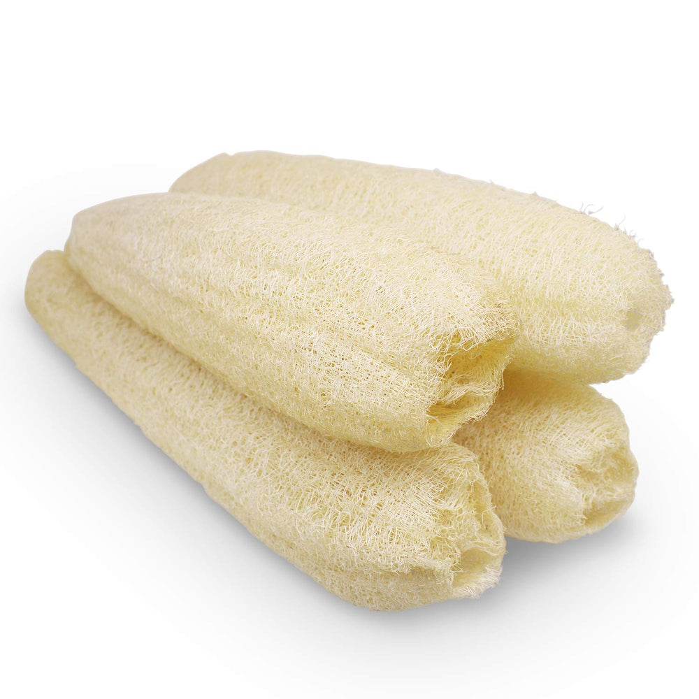 METLUCK Éponges exfoliantes végétales, texture rugueuse idéale pour exfolier en douceur.