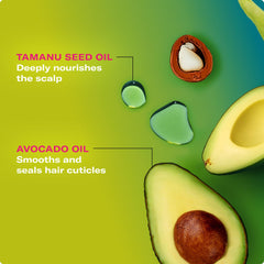 Shampoing Mielle Avocado Tamanu, humidité maîtrisée et brillance durable