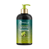 Bouteille Mielle Organics Avocat Tamanu anti-frisottis, démêlage facilité.