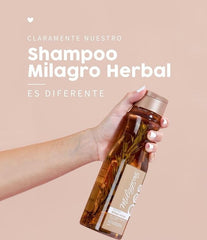 Extraits naturels de romarin et gingembre dans Milagros, nourrissant le cuir chevelu.