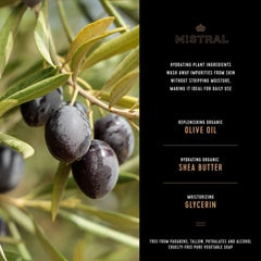 Extrait de feuille de raisin antioxydant dans le savon Mistral.
