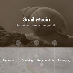 Flacon MIZON Toner Adenosine, lissage léger des ridules grâce à l'effet resserrant.