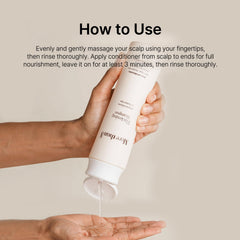 Ingrédients clés du shampooing Matsutake Morethan8 pour fortifier les mèches