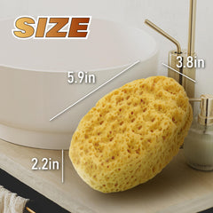 myHomeBody éponge de bain PU monobloc, solide et durable pour une utilisation quotidienne.