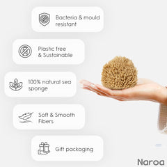 Éponge Naroa non blanchie adaptée à la peau sensible du nourrisson.