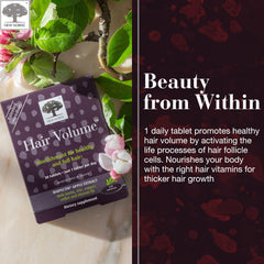 New Nordic Apple Extract Procyanidin B2 : extrait naturel bénéfique pour cheveux et peau.