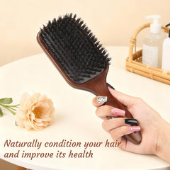 Brillance naturelle et texture lisse avec O BRUSHZOO