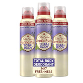 Old Spice Déodorant Corps Total Lavande Menthe, spray rapide et frais toute la journée