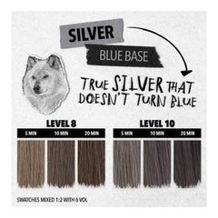 Cheveux humides prêts pour l’application et le tonage rapide.