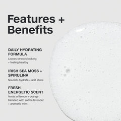 Paul Mitchell Shampoing Hydratant, brillance visible sur les longueurs