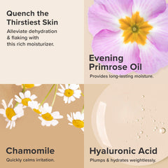 Paula's Choice Skin Recovery: peptides et antioxydants pour un teint plus uniforme.