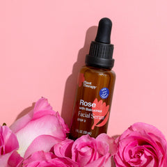 Huile de graine de carotte Plant Therapy, texture nourrissante pour la peau.