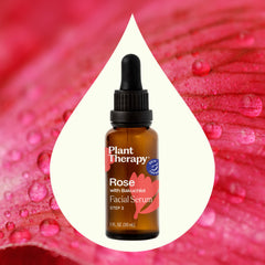 Huile de rose musquée Plant Therapy, flacon pratique et hydratante.