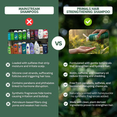 PRIMALS Shampoing Romarin — Focus sur le parfum naturel et les bienfaits