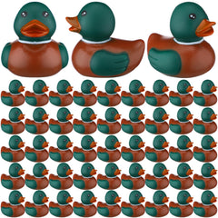 PullCrease canards colvert 2 pouces, parfaits pour le bain.